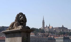 One of the guardian lion statues at the Chain Bridge, with Matthias Church in the distance, on Castle Hill.